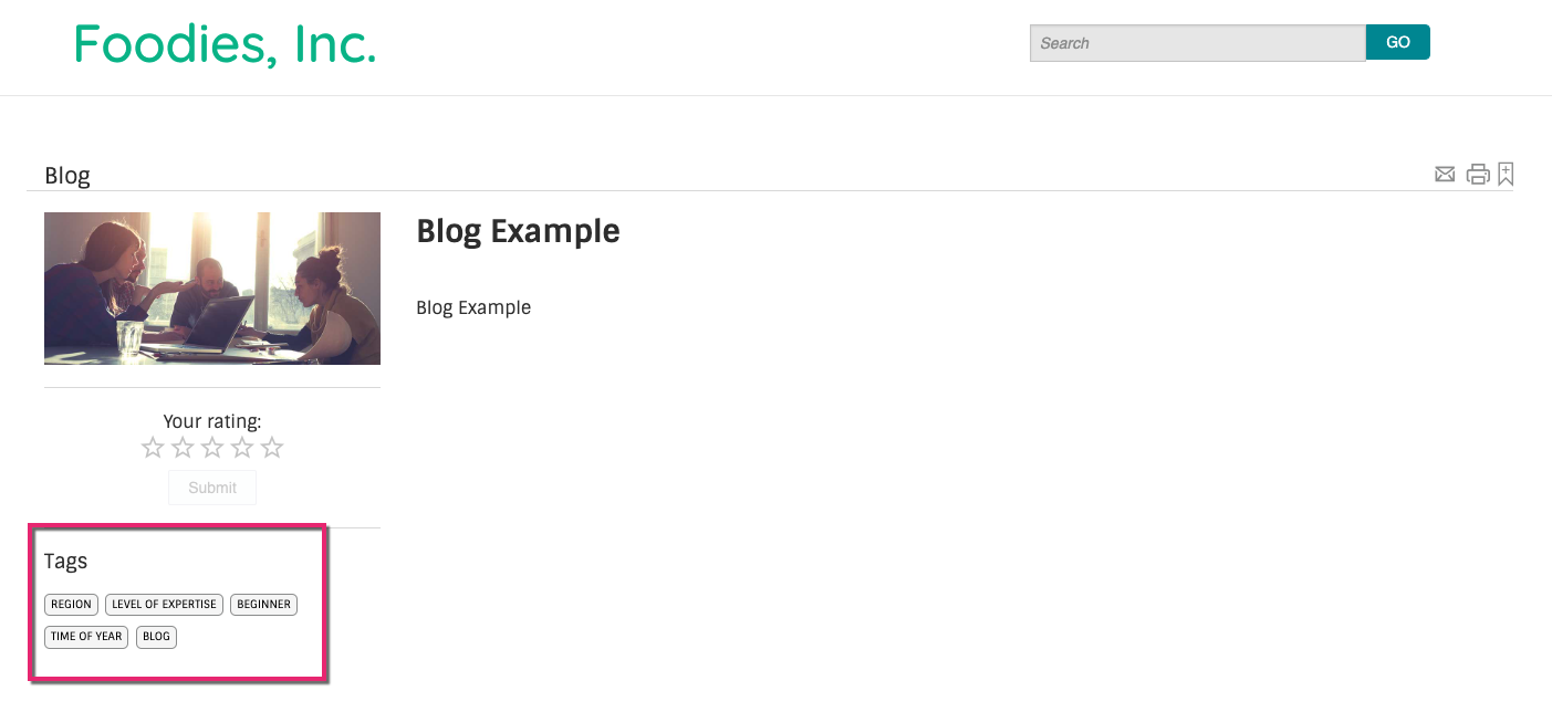 CustomContentFields_SettingsArticleVideoTags_LearnerView.png