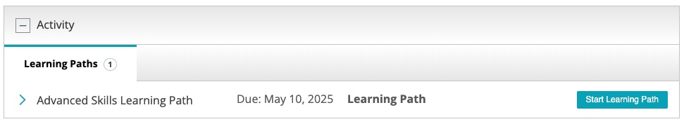 AccessWidget_LearnerView.jpg