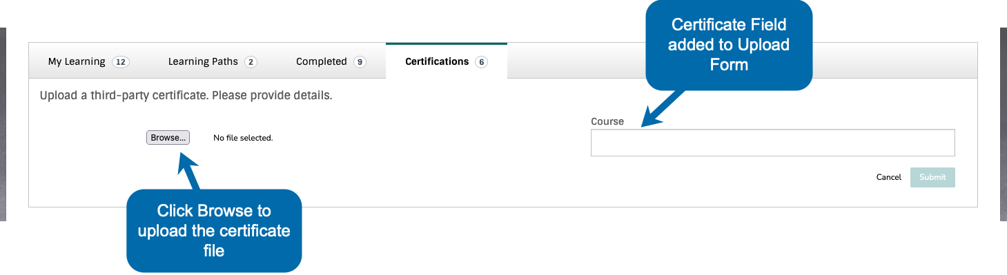 ThirdPartyCertificates_FormBreakdown_LearnerView.png